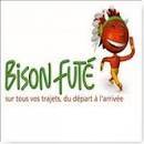 Bison Futé